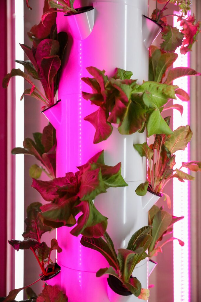 mick haupt sD gJzsrQt4 unsplash